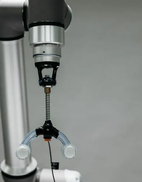 image_683f179d0f3fd9.93043107-1