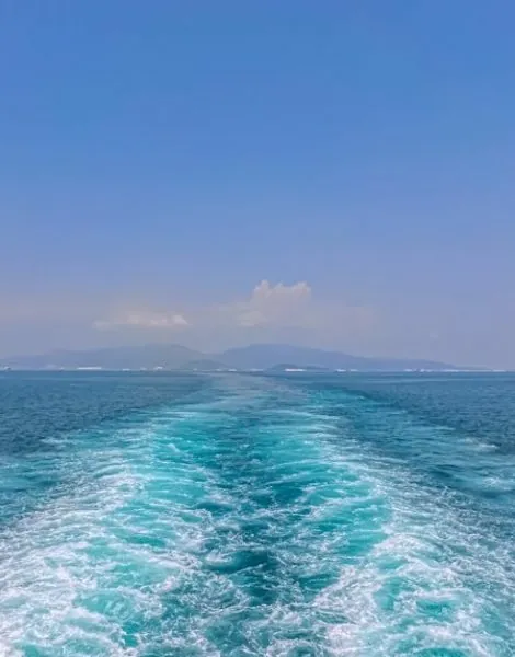 image_683f179f697207.27881861-1